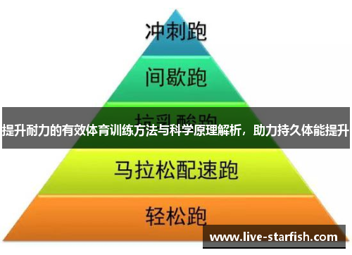 提升耐力的有效体育训练方法与科学原理解析，助力持久体能提升